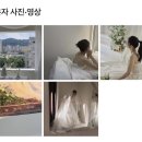 교감스튜디오 | 대구 웨딩 스튜디오 비교｜어반 스튜디오 vs 온니 스튜디오 솔직 후기