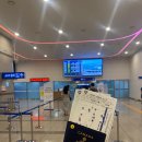 여행] 부산에서 떠나는 대마도당일여행, 대마도가는 방법, 대마도당일배편 이용후기(팬스타 쓰시마링크호)