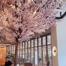 윤연당(진주제빵소) 이미지