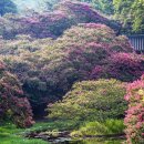 명옥헌정원1(주차장) 이미지