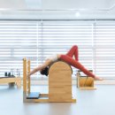 채널24시 이미지