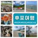 후포동부초등학교 | 여름휴가 🧡] 해맞이민박 / 후포대게대게형님과홍게아우 / 후포조개잡이 / 후포오일장 / 후포바다수영