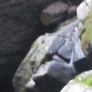 용연목장 이미지