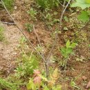 김종만농장 이미지