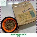 시우스쿨링 대화 이미지