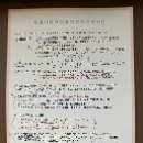 대전하프의원 | [용로그] 대전 다이어트 병원 하프의원 팔뚝 지방분해주사 후기(하프컷주사5회차, 가격, 효과, 전후사진...