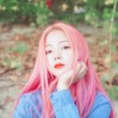 HYNN(박혜원) 전국투어(HYNN FOREST) 스포츠경향