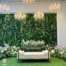 다르미앙 이미지