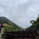 박진우한의원 이미지