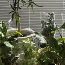 수필농장 이미지