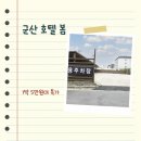 군산 라시에스타호텔 | 군산 군산 호텔 봄 예약 숙박 할인 조건 확인