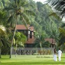 나우메드 이미지