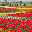 피나클랜드 이미지