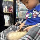 마리앤쥬 이미지