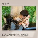 용인 모래놀이 가능한 카페, 카페8794 내돈내산 후기