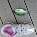 취병낚시터 이미지