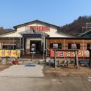 강촌->SBS 이미지