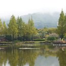 분성로261번길 이미지