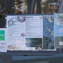 육회애(애)연어 본점 | 잠실 송리단길맛집 코티지 석촌호수 건강식 브런치 후무스 연어샐러드 추천