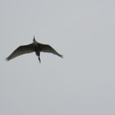 백암토종순대국 이미지