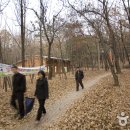 일자산 자연공원 이미지