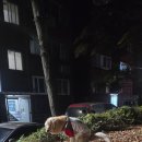 대림동산길 이미지