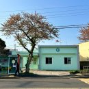 관덕정약국 이미지