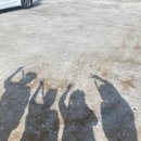 선창가든 이미지