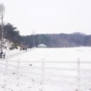 보동 목장 이미지