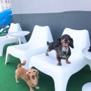 스토리 멍 이미지