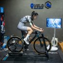 큐벨로(QVELO) 네이버블로그