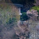 대치1-118 이미지