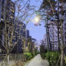 파리바게뜨영통아이파크 | [임장 후기] 수원시 영통구 망포동 영통아이파크캐슬 1단지, 영통아이파크캐슬 2단지 임장기