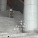 용산역 비둘기가 계단을 내려오는 법 이미지
