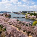 경주숲 1,2 이미지