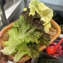막창도둑산동점 | 구미 산동 막창 맛집, 막창도둑 :: 파가 통째로 들어간 파막창 내돈내산 후기