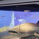 온천1동-10 | 부산 아이랑 가볼만한곳 동래 부산해양자연사박물관 운영시간 주차장 수유실 등 후기