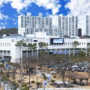 영천시, 사랑상품권 15% 할인 판매… 연말까지 4개월간 이미지