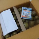 호돌이농장 이미지