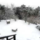 무봉산둘레길 이미지