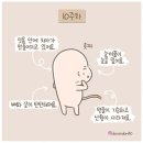 도란 이미지