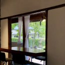 파파제이(PAPA.J)