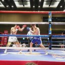 강호 체육관 이미지