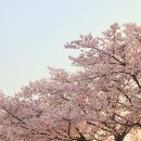 길푸드