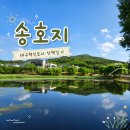 율암로 | 대구 혁신도시 가볼만한 곳 송호지｜10분 컷 가볍게 걷기 좋은 산책로