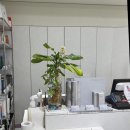 쎄븐일레븐수원천천본점 | 천천동 미용실 서빈헤어 천천본점 후기