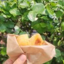 감자빵 전자레인지 강릉중앙시장 강릉이래요 감자빵 택배후기