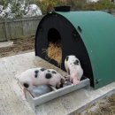 학기농장 이미지