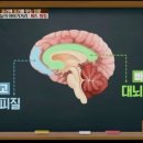 유신 태권도장 이미지