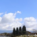 여주-0108 이미지